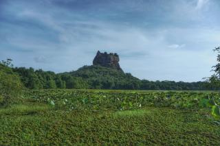 Sashini Homestay - 6