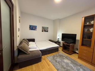 Belgrade Center Apartment Studio - 5