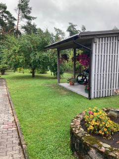 Pušyno Apartments-Studio - 0