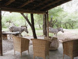 Elephant Memories Glamping Safari Tents and more - 2