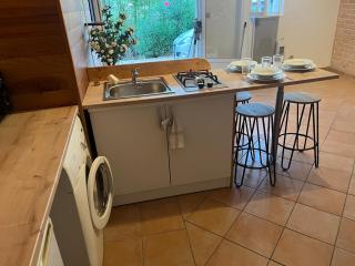 2 pieces hortensias - 7