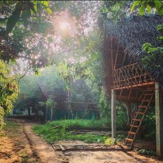 Art Forest - Pondicherry - 0
