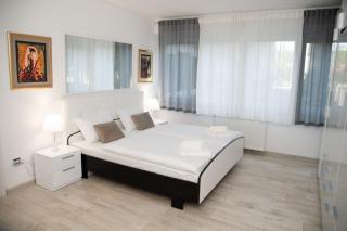 City Center Spacious Apartment Brandt - Slavonski Brod - 9