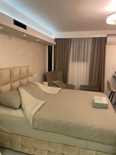 Liga apartment - Vračar (historical) - 4