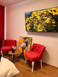 Pink Jungle Flat - Suceava - 6
