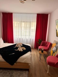 Pink Jungle Flat - Suceava - 5