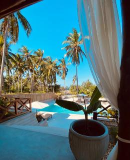 Dive Planet Mafia Island - 8