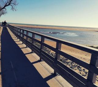 Le cocon des marais - 7