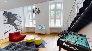 High Standing Comfortable Loft 125m2 city center - Strasbourg - 9
