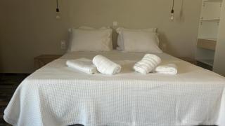 Vasilios Luxury Apartments - Donoussa - 1