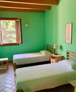 B&B Al Vecchio Noce - 1