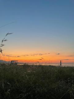 Ünye Kavaklar Holiday Houses - Unye - 0