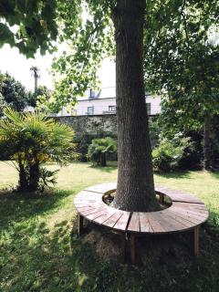 Maison ORGO - 5
