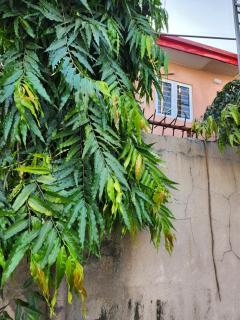 Serene Studio in Lekki Phase 1 - Lagos - 9