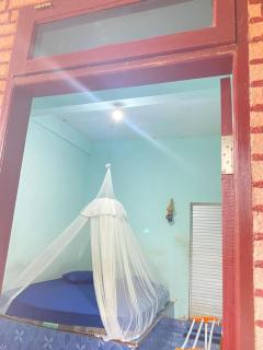 Bukitlawang lodge & Jungle Trekking - Bukit Lawang - 7