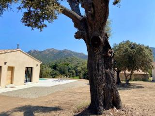 Casa Serena - Occhiatana - 3