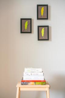 Top 3 Alpe Maritima - Seetraum - 5