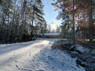 Villa Zinkgruvan Ferienhaus am See in Alleinlage - Zinkgruvan - 8