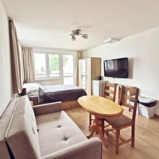 Villa Krysia 50 m do morza - 9