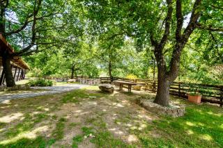 Residence surrounded by greenery with swimming pool in Sorano - Sorano - 2