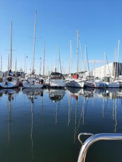 Le chant des mouettes - Voilier - Boulogne-sur-Mer - 5
