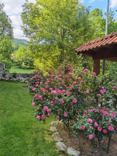 Relax House - Sarajevo - 7