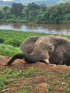 Simbini Sunset Cottage - 3