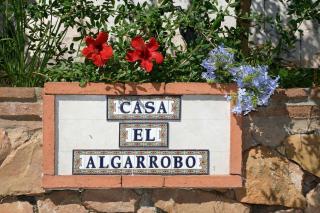 El Nuevo Algarrobo - 3