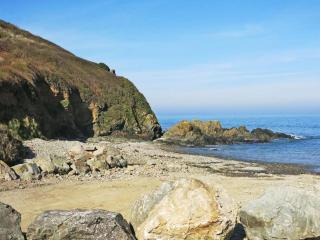 Appart vue mer et sur les falaises-Face au sentier de randonnée - Planguenoual - 2