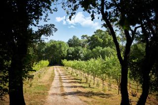 Ferme Saint-Georges en Provence - Le Val - 0