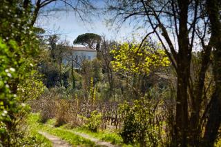 Ferme Saint-Georges en Provence - Le Val - 6