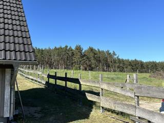 Holzhaus am Waldrand - Niederfinow - 6