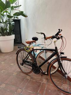 ALBERGO DIFFUSO Dimora Rossi Charme B&B - Turi - 9