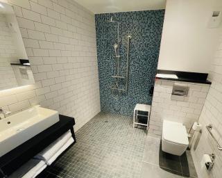 Holiday Inn Dijon Sud - Longvic by IHG - Dijon - 6