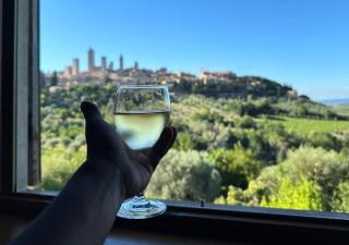 B&B Il Fienile San Gimignano - San Gimignano - 5