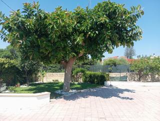 Villa IGMA - Syracuse - 4
