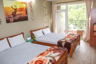 Themapleview - 8