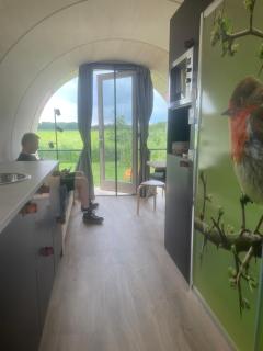 Eco-lodge nabij Giethoorn - Wanneperveen - 1