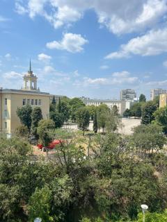 Dolphins - Varna City - 1