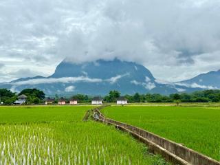 Baan Porhdoi Goidao - Chiang Dao - 5