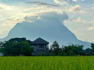 Baan Porhdoi Goidao - Chiang Dao - 7