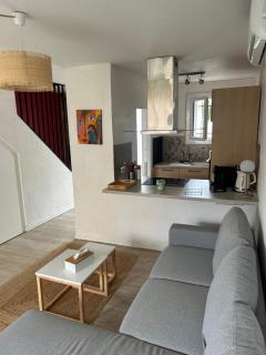 Maison Albi parc Rochegude - Albi - 7