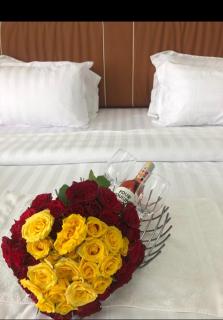 Entebbe Airport Superking Bed apartment - 4
