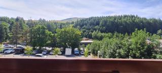CHALET D- A216 - Appt 4-6 pers - Les Deux Alpes - 8