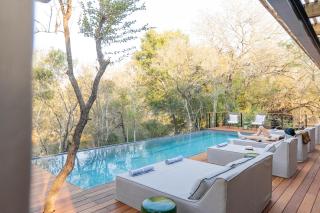 Thornybush Simbambili Lodge - Sabi Sand Game Reserve - 2