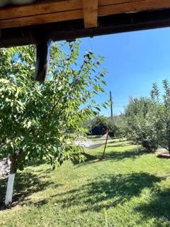 casuta de vacanta - - 2