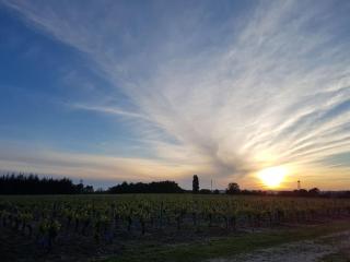 Gite au cœur du vignoble - Lagrave - 1