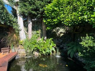 The Faroes - Littlehampton - Littlehampton - 5