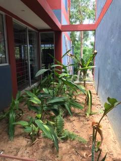 3-bedroom house in Alamparai with plunge pool - - 4