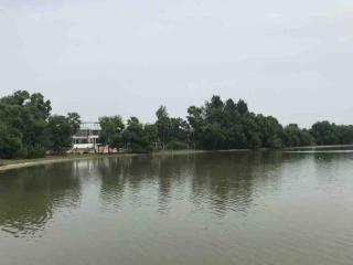 3-bedroom house in Alamparai with plunge pool - - 3